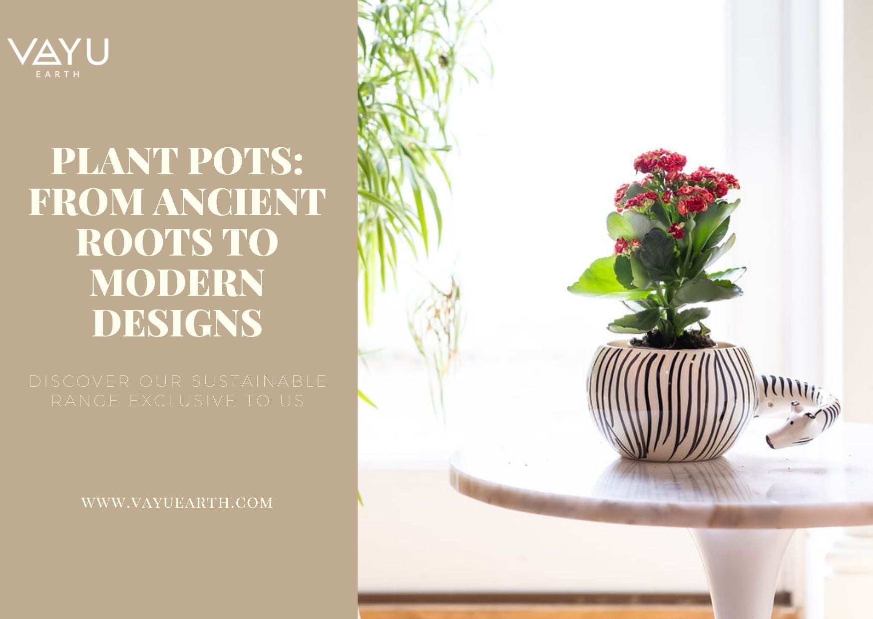 The Evolution of Plant Pots: From Ancient Roots to Modern Designs