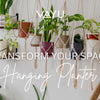 Hanging Planter - Turn Empty Corners into Green Dreams