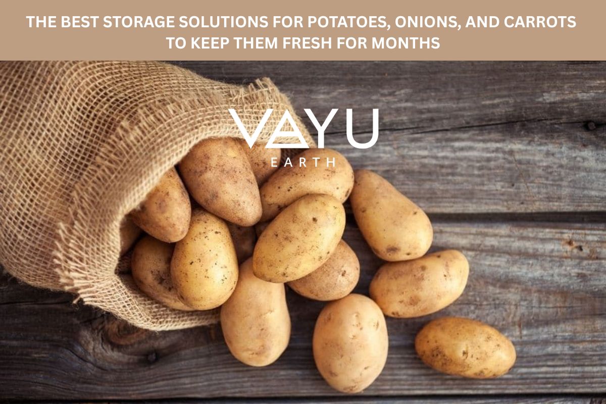 The Best Storage Solutions for Potatoes, Onions, and Carrots: Keep Your Harvest Fresh Longer