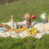 Embrace the Season: A Guide to Planning the Perfect Spring Picnic