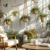 Elevate Your Greenery: Stylish & Sustainable Indoor and Outdoor Options