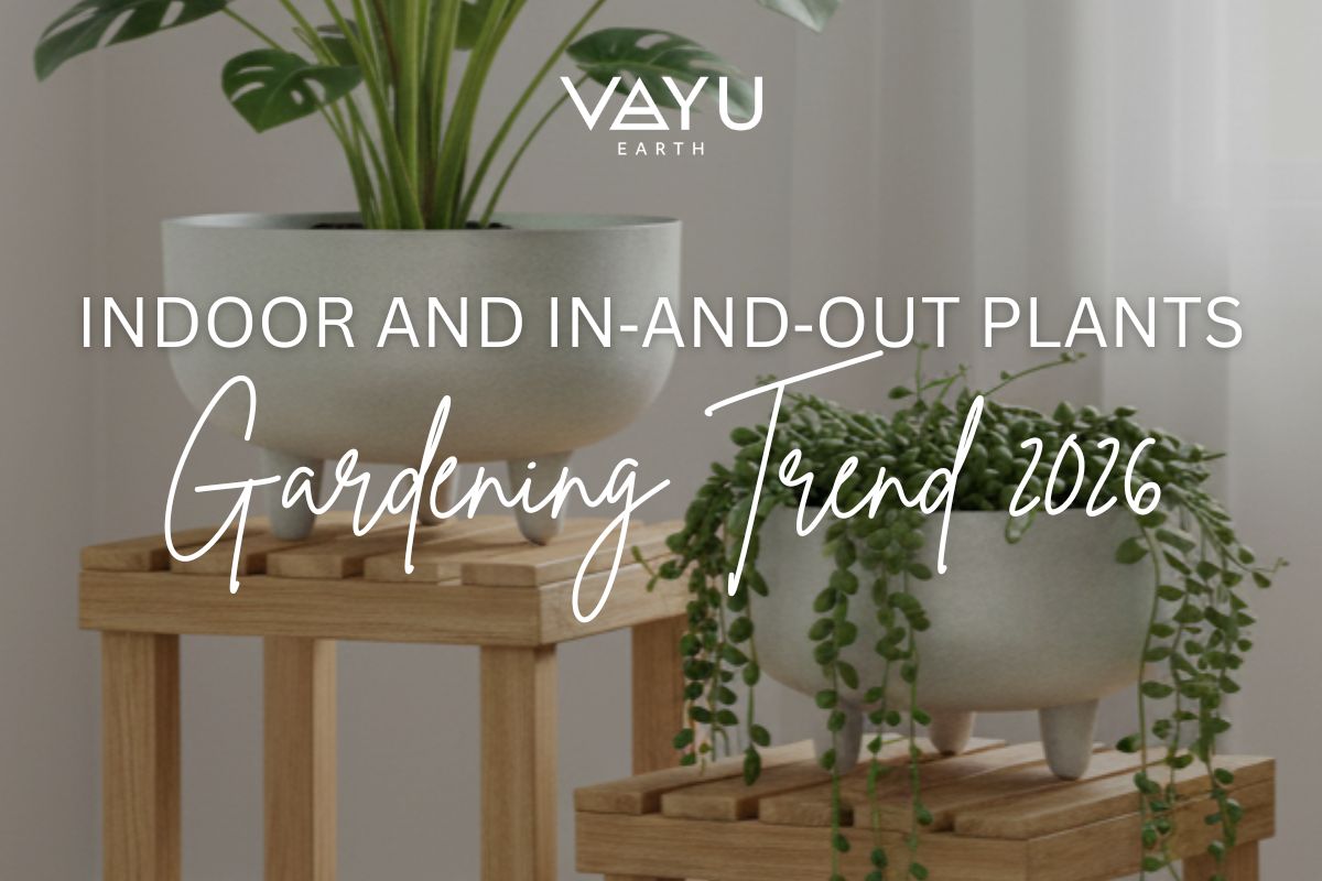 Indoor and In‑and‑Out Plants: The RHS Gardening Trend for 2026
