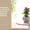 The Evolution of Plant Pots: From Ancient Roots to Modern Designs