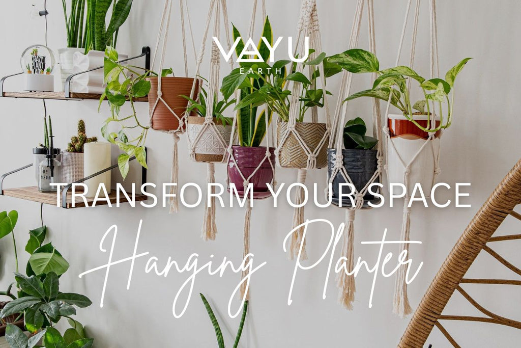 Hanging Planter - Turn Empty Corners into Green Dreams