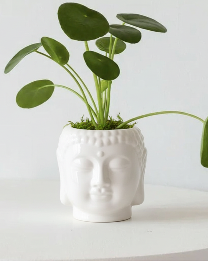 buddha planter pot Ceramic Soulful White Buddha Planter – Vayu Earth