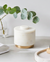 White marble diffuser with gold base on a white surface with a plant in the background