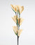 Eco-friendly Palm Leaf Tulip Flower Sticks (set of 3), Vayu Earth, Handmade, Sustainable, Ethical