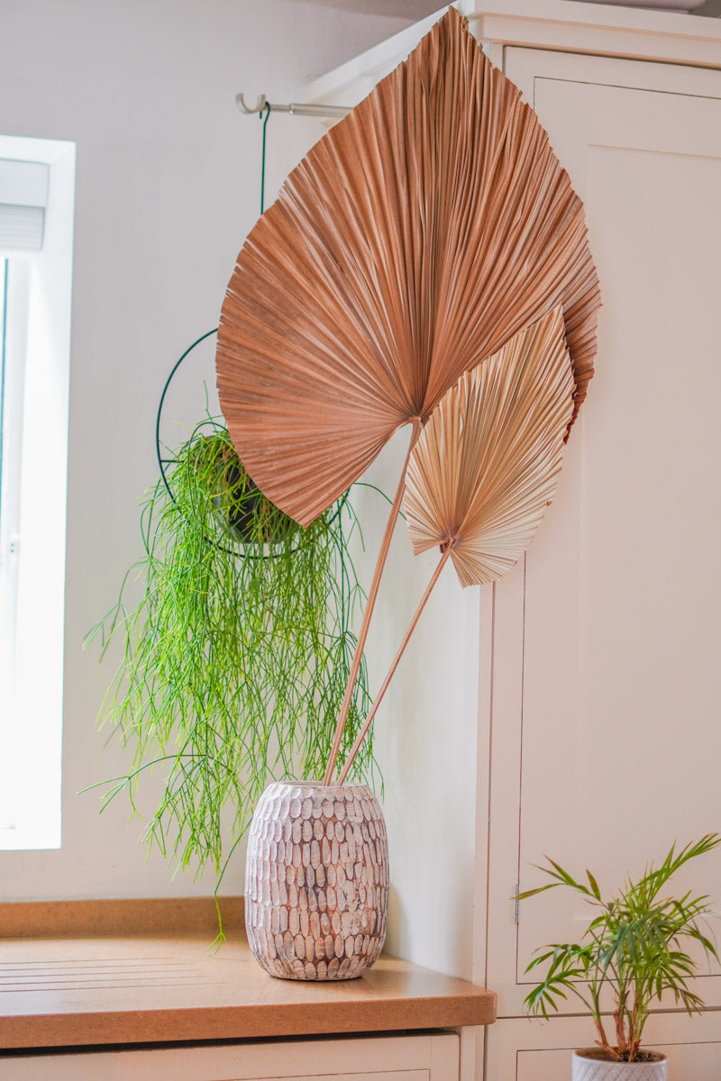 flat palm plant Flat Style Palm Leaf Fronds Natural