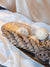 Forest Fragrance Potpourri Pack: Pinecones & Mixed Dried Lata Balls (200g)