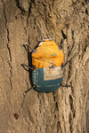 Galvanised & Recycled Iron Bug Tabletop Decorative