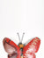 Vayu Earth, handmade, artisan, home decor, eco friendly, home accessories, home decor and accessories, home accessories, home accents, soft furnishing, sustainable, ethical, home decorate, home furnishing, butterfly art, room accessories, garden decorative accessories, butterfly decor, decorative items, vintage decor