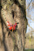 Vayu Earth, handmade, artisan, home decor, eco friendly, home accessories, home decor and accessories, home accessories, home accents, soft furnishing, sustainable, ethical, home decorate, home furnishing, butterfly art, room accessories, garden decorative accessories, butterfly decor, decorative items, vintage decor