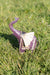Vayu Earth, handmade, artisan, home decor, eco friendly, home accessories, home decor and accessories, home accessories, home accents, soft furnighin, sustainable, ethical, home decorate, table decor, home decor accessories, accessories for the home, elephant art, room accessories, garden decorative accessories, art tabletop, elephant decor, decorative accessories, elephant home decor