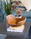 Decorative wooden bowl with a plant on a coffee table in a living room setting.
