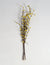 Handcrafted Eco-friendly Shola Wood Flower Sticks (Set of 5), Vayu Earth, Handmade, Sustainable, Ethical