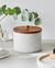 White marble container with a wooden lid on a light surface, with a plant in the background.