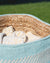 Close-up of a woven basket with seashells on a grassy background