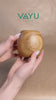 Hand Turned Acacia Natural Wood Plant Pot