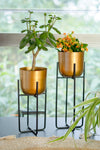 Handcrafted Sleek Gold Aluminium Planter with Stand (Set of 2)